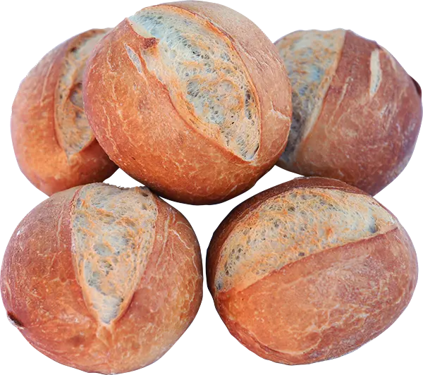 Panini - Otto Schall