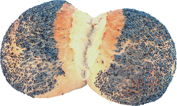 Zwilling-Mohn - Otto Schall