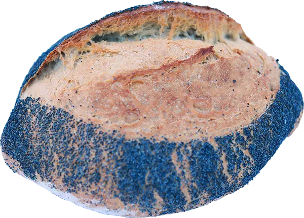 Elsässer Mohn - Otto Schall