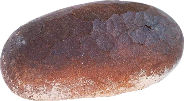 Maudacher Bauernbrot Lang - Otto Schall