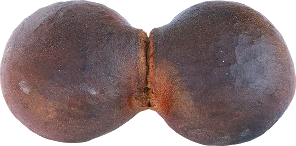 Maudacher Bauernbrot - Otto Schall